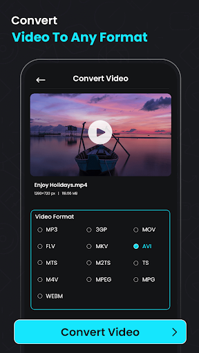 Video Compressor & Converter screenshot