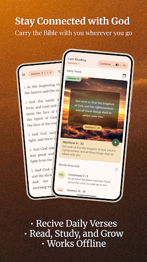 King James Bible (KJV) screenshot