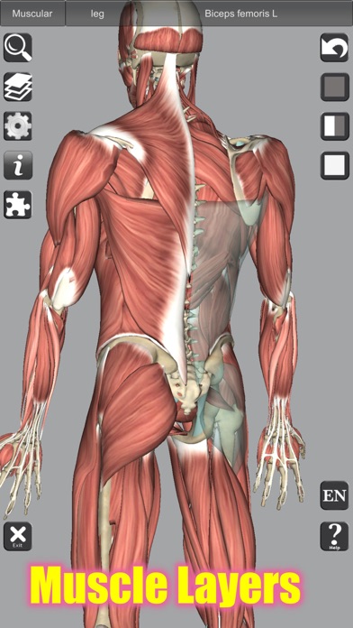 3D Anatomy screenshot