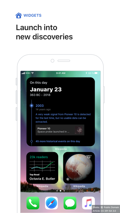 Wikipedia screenshot