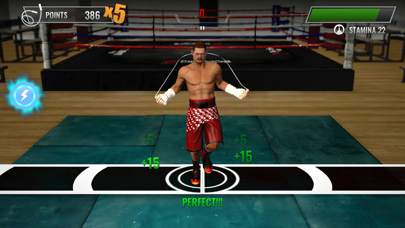 Real Boxing 2 screenshot