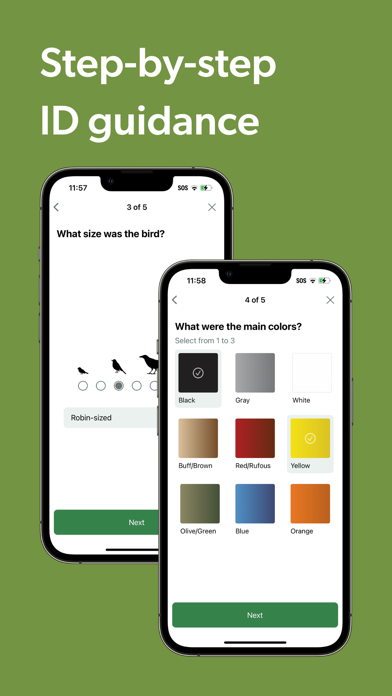 Merlin Bird ID by Cornell Lab screenshot