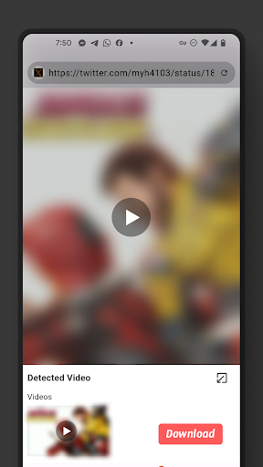 Video Browser screenshot