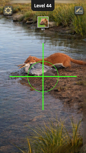 Animal Hunter: Wild Shooting screenshot