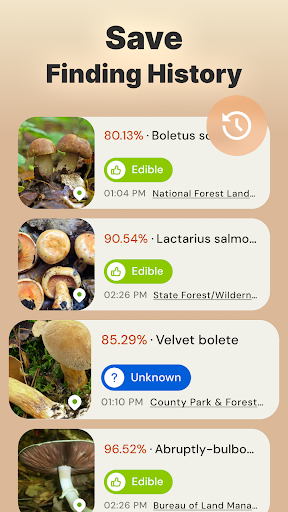 Mushroom Identification screenshot