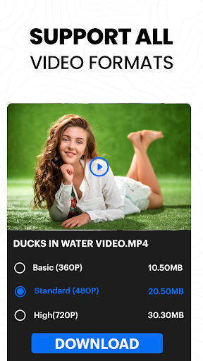 All Video Downloader - Browser screenshot