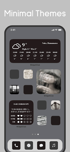 Icon changer & Widget Themes screenshot