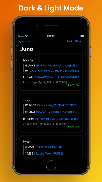 Binance Smart Chain Explorer screenshot