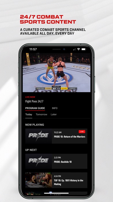 UFC screenshot