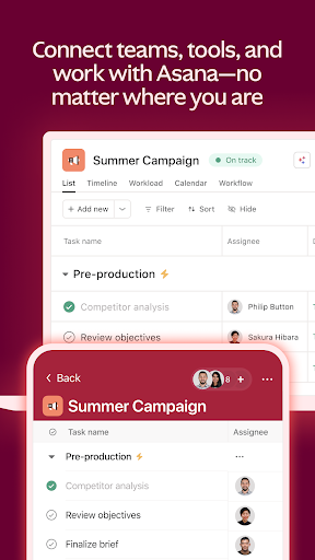 Asana: Where work connects screenshot