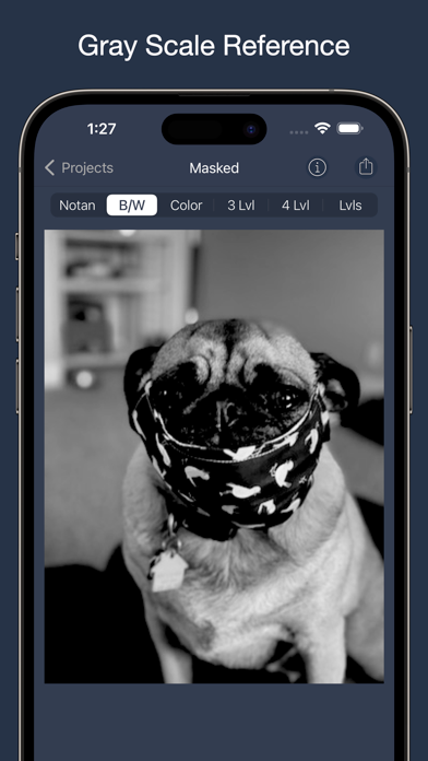 NotanIzer screenshot