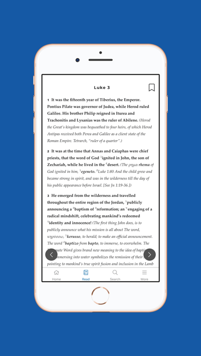Mirror Study Bible screenshot