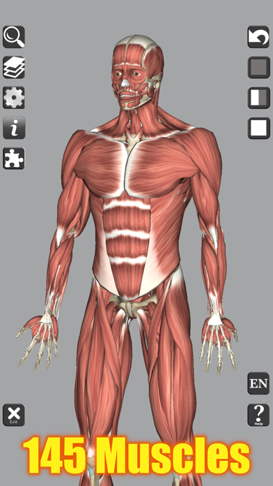 3D Anatomy screenshot