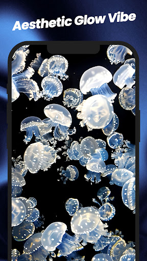 Wallpapers: 4K Live Wallpapers screenshot