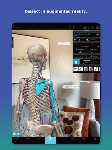 Human Anatomy Atlas 2025 screenshot