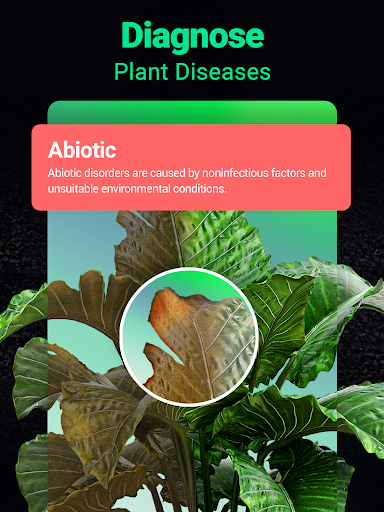 Plantum - Plant Identifier screenshot