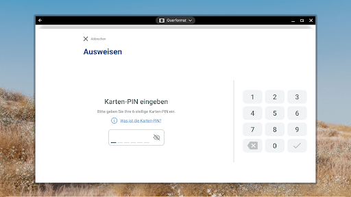AusweisApp Bund screenshot