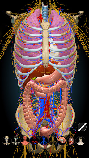 Anatomy Learning - 3D Anatomy screenshot