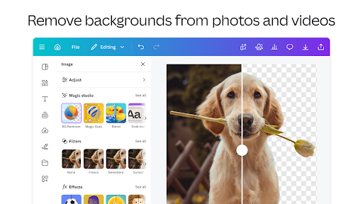 Canva: AI Photo & Video Editor screenshot