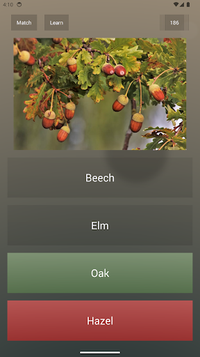 Endless Quiz Pro screenshot