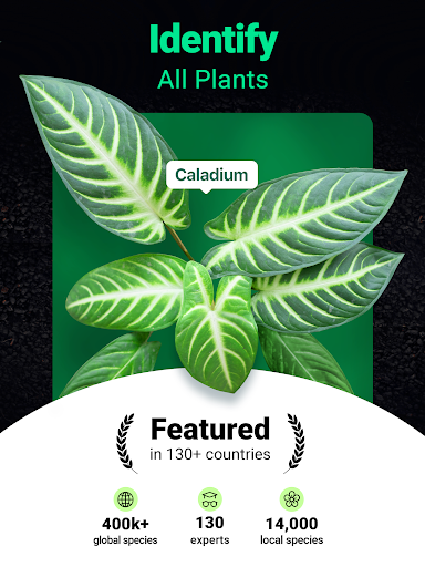 Plantum - Plant Identifier screenshot