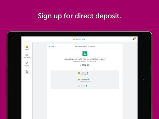 Classic Netspend screenshot