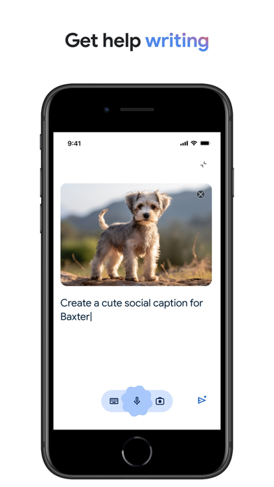Google Lens screenshot