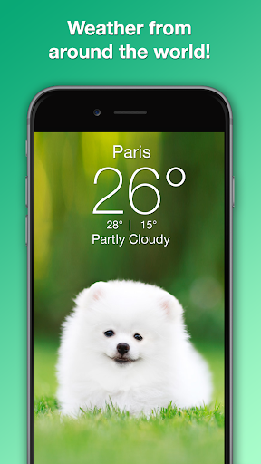 Weather Puppy - App & Widget screenshot