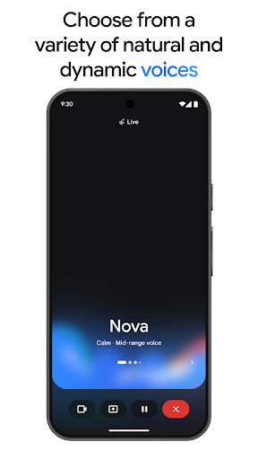 Google Gemini screenshot