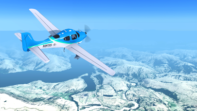 RFS - Real Flight Simulator screenshot