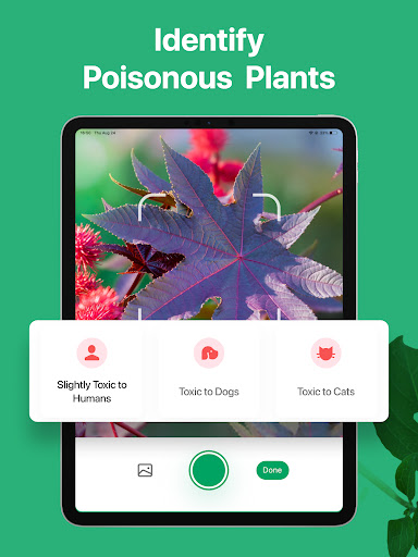 PictureThis - Plant Identifier screenshot