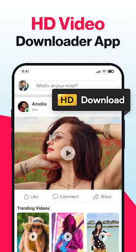 Video Downloader - Story Saver screenshot