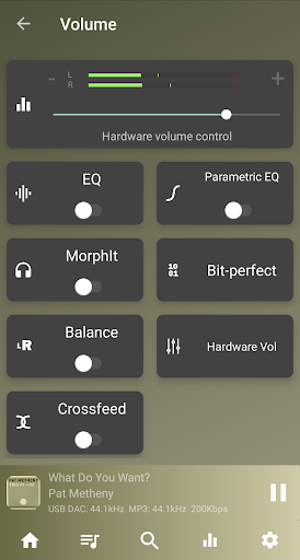 USB Audio Player PRO screenshot