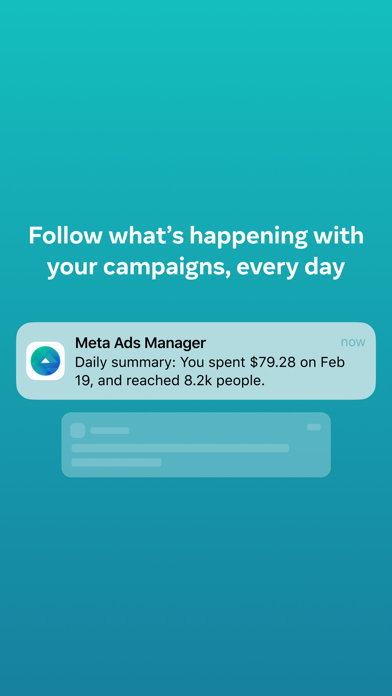 Meta Ads Manager screenshot