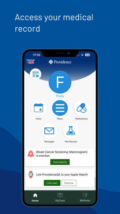 Providence screenshot