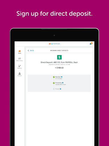 Classic Netspend screenshot