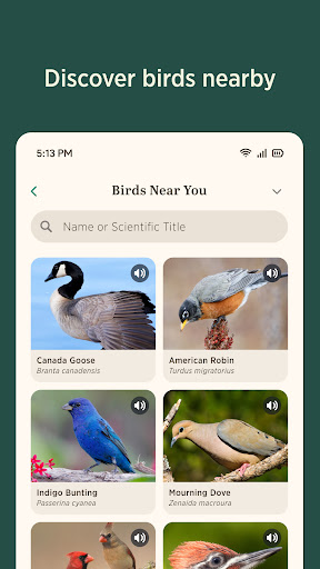 Audubon Bird Guide screenshot