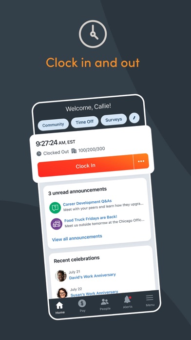 Paylocity screenshot