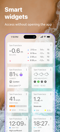 Nautide: Tides, Wind, Waves + screenshot