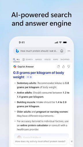 Microsoft Bing Search screenshot