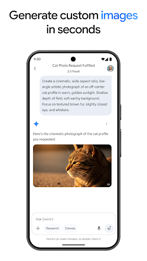 Google Gemini screenshot