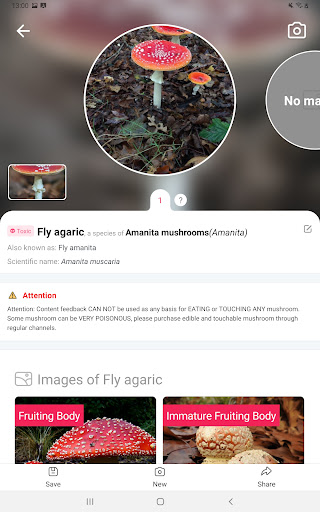 Picture Mushroom - Mushroom ID screenshot