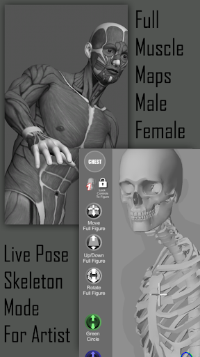 Pose Tool 3D screenshot