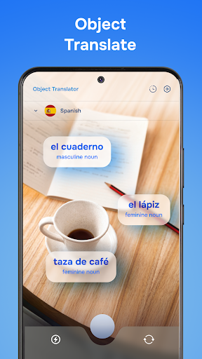 Translateasy Lingual Assistant screenshot