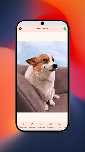 Heart Camera screenshot