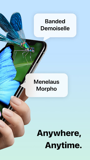 Picture Insect: Bug Identifier screenshot