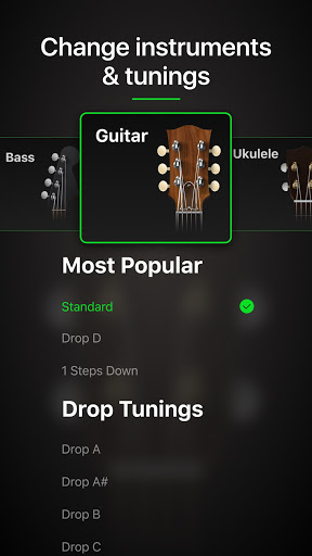 Guitar Tuner Pro: Music Tuning screenshot