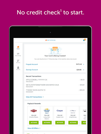 Classic Netspend screenshot