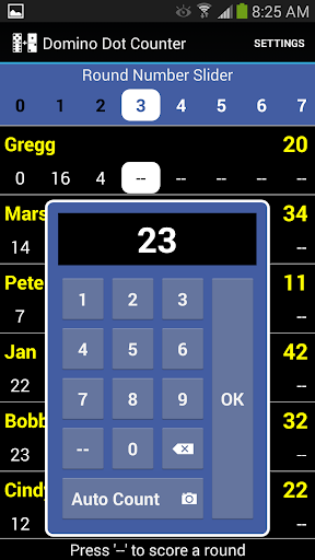 Domino Dot Counter screenshot