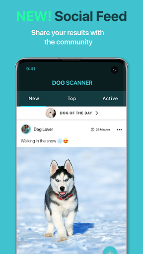Dog Scanner: Breed Recognition screenshot